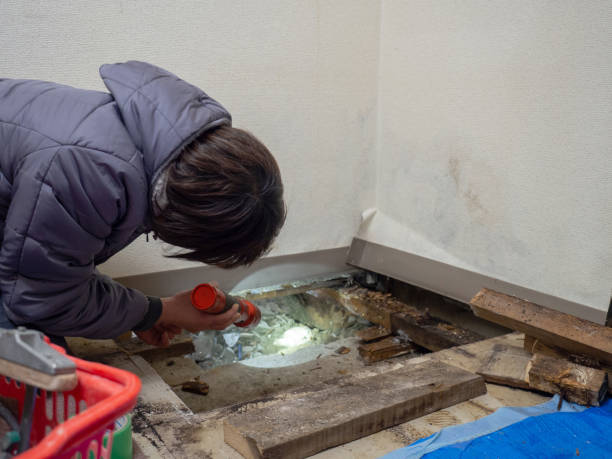 Best Comprehensive Air Testing for Mold Contaminants  in Copperopolis, CA