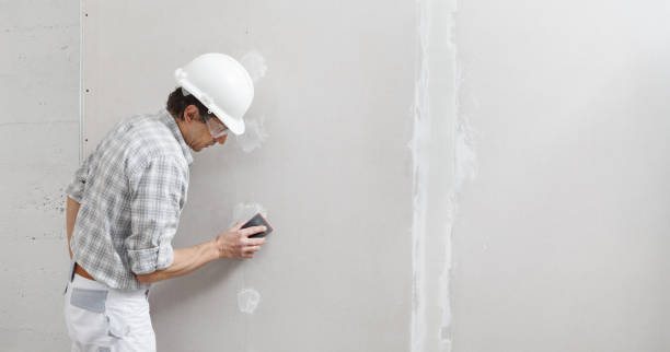 Best Mold Damage Restoration  in Copperopolis, CA