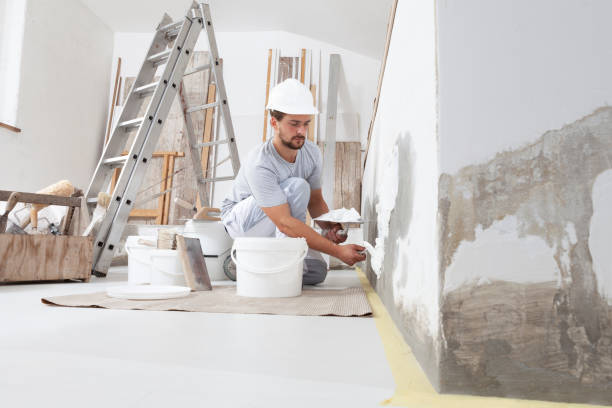  Copperopolis, CA Mold Removal Pros