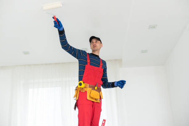 Mold Removal for HVAC Installations in Copperopolis, CA