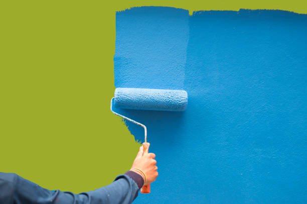 Professional Mold Removal in Copperopolis, CA